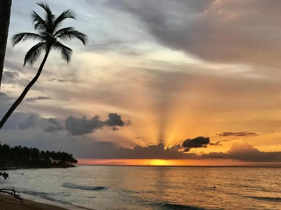 Estudio En Playa Bonita Bech Residences Las Terrenas 0*,  Dominicaanse Republiek